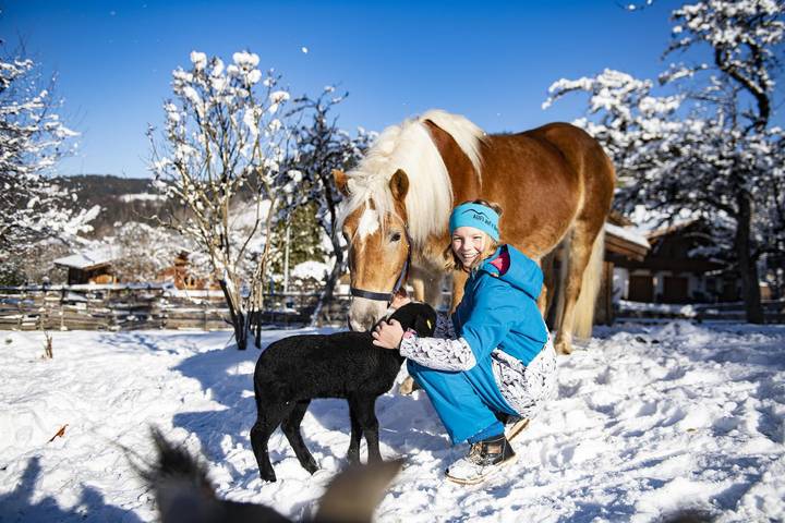 Bauernhaus für 4 Personen, mit Garten in Wildschönau - 3