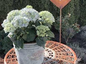 Ferienwohnung für 4 Personen in Merzig, Merzig und Umgebung, Bild 4