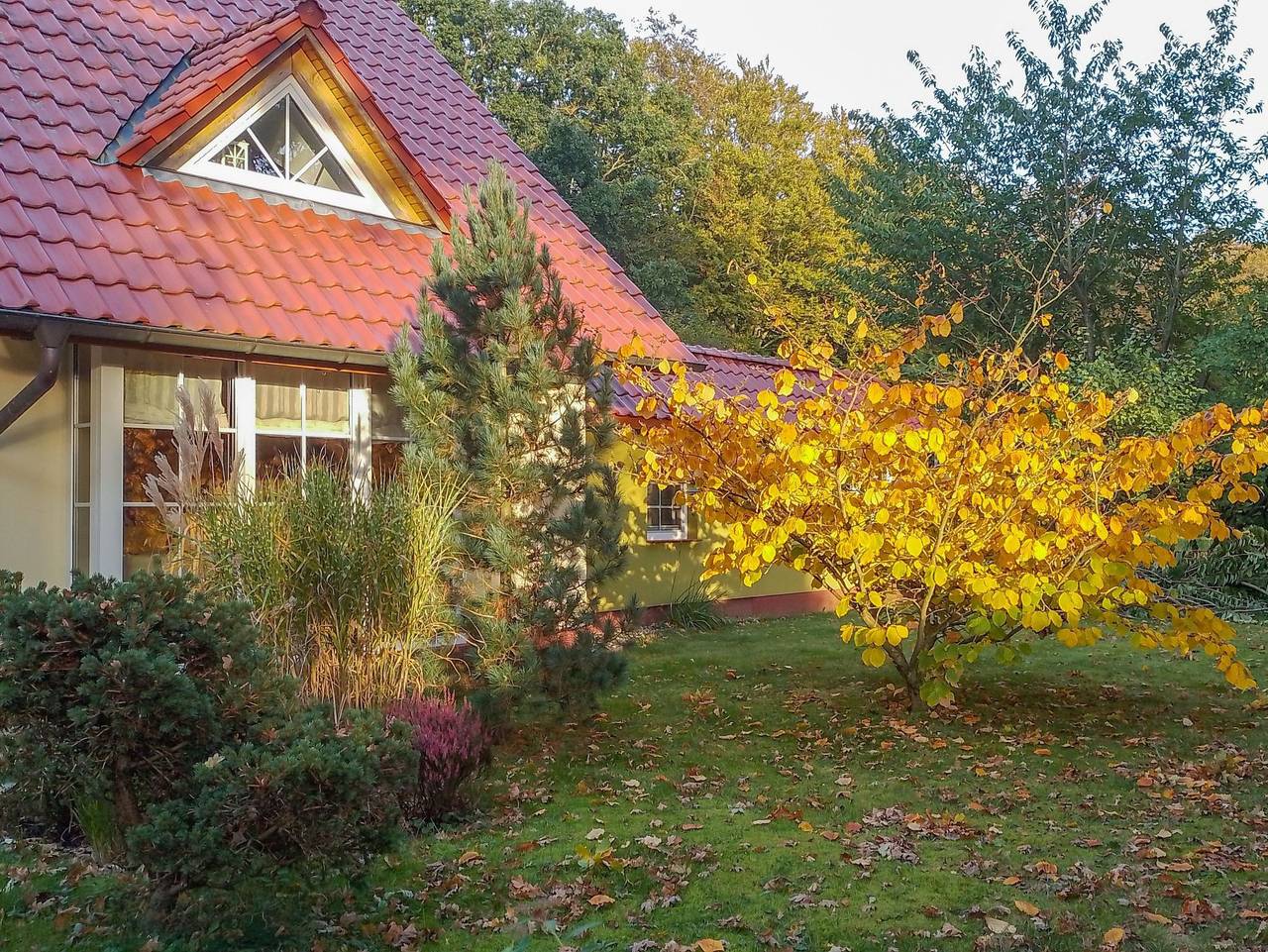 Ganze Ferienwohnung, Ferienwohnung am Wald - Ferienwohnung am Wald in Ahrenshagen-Daskow, Vorpommern
