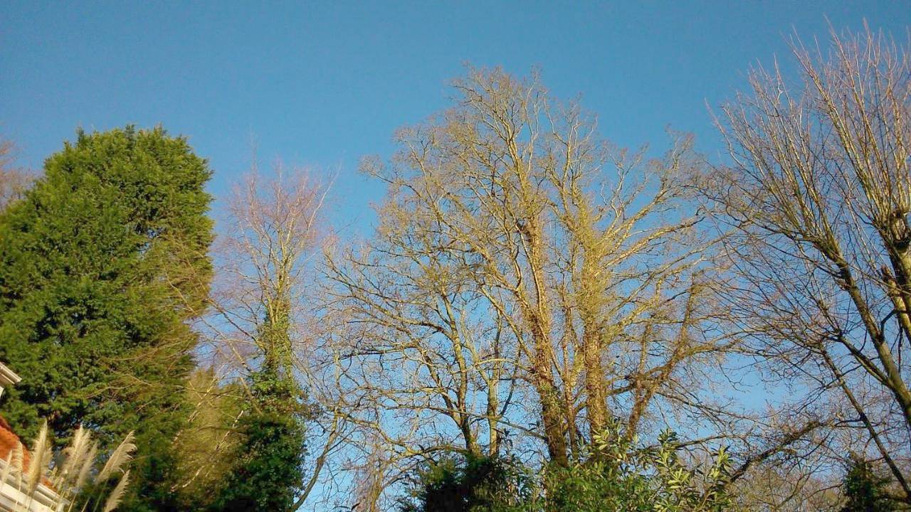 Thornybank in Norfolk Coast