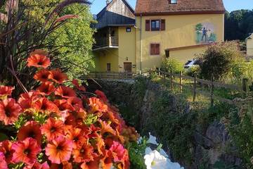 Gîte pour 4 personnes, avec balcon et jardin à Metzeral