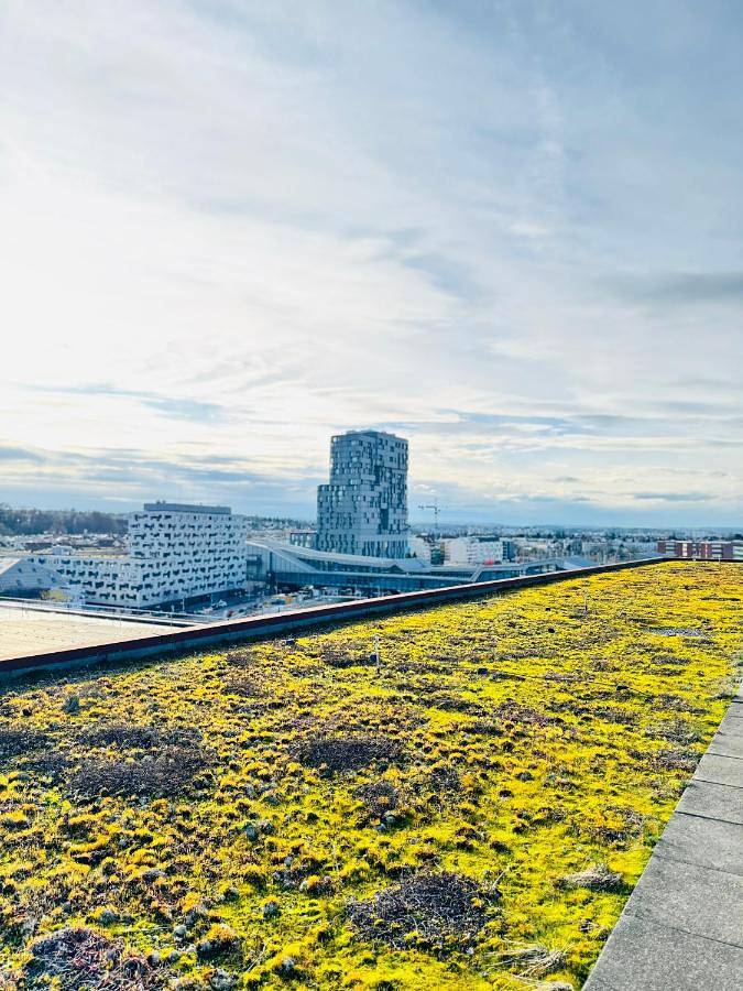 Ferienwohnung für 10 Personen, mit Balkon und Terrasse sowie Ausblick in Basel - 2