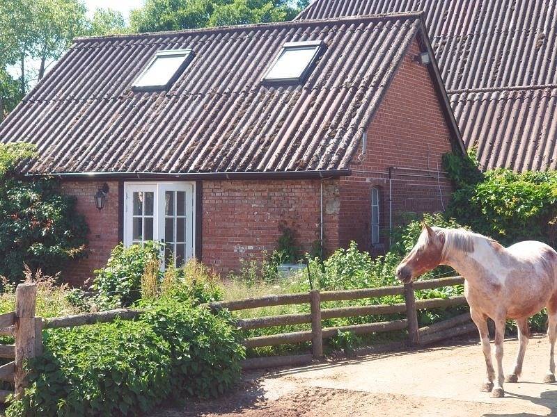 Pony-Ranch-Hütte in Hittbergen, Mecklenburgisches Elbetal