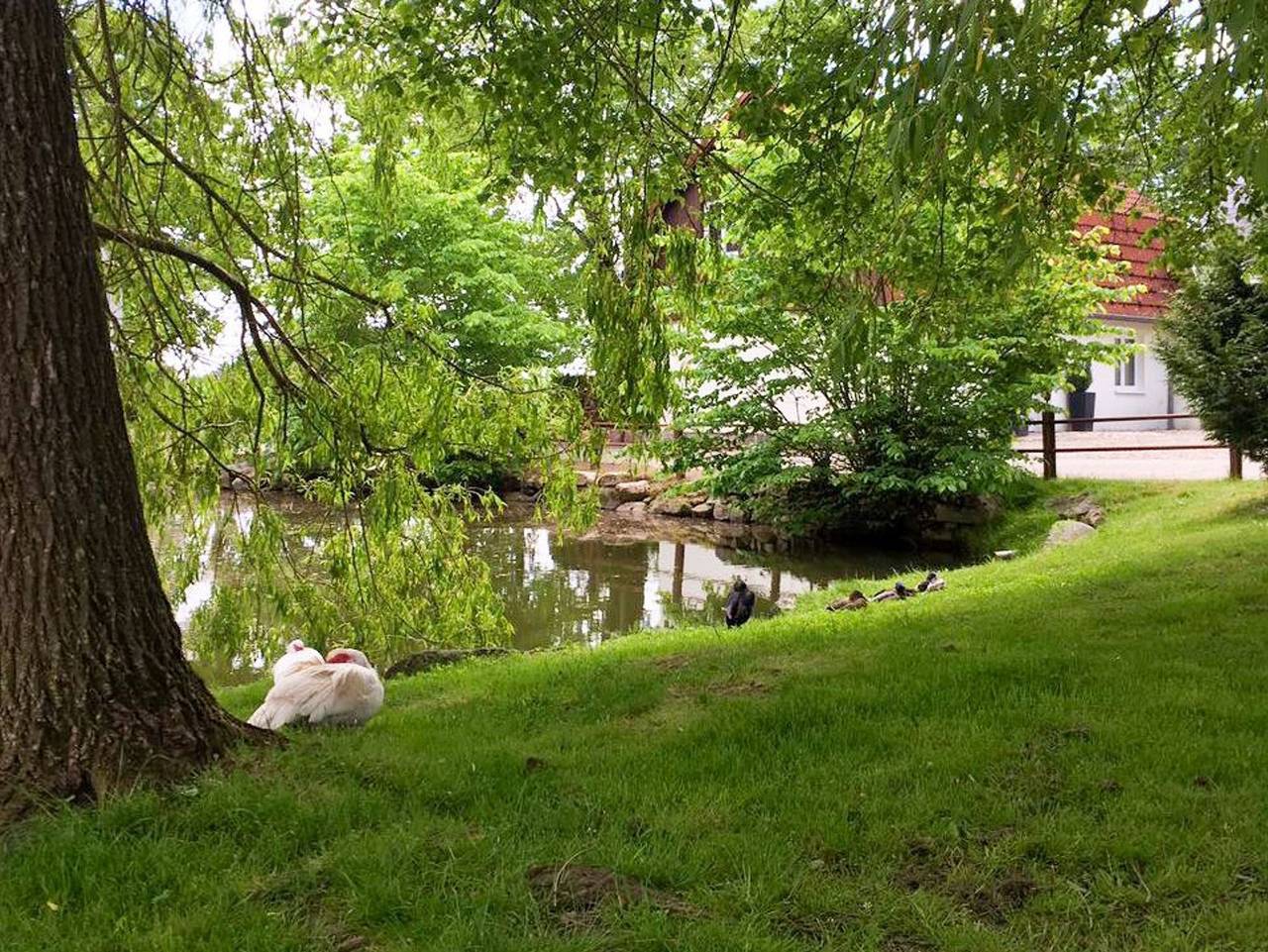 Ferienhof Baustrup - Alter Pferdestall in Mohrkirch, Schleswig-Flensburg