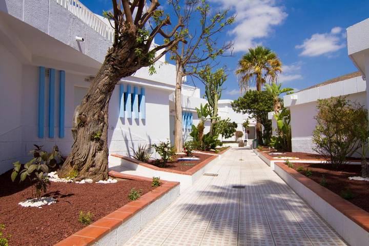 Appart’hôtel pour 2 personnes, avec Terrasse et Jardin ainsi que Bassin pour enfant et Piscine à Tenerife - 4