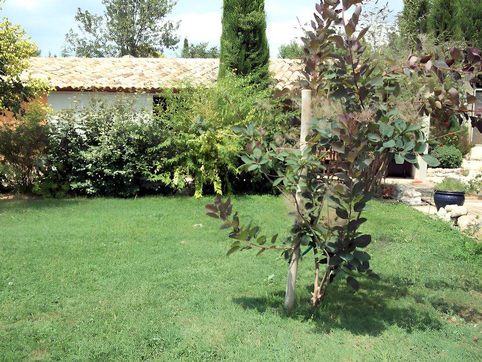 Le Clos du Figuier - Orchidée in Aniane, Région de Lodève
