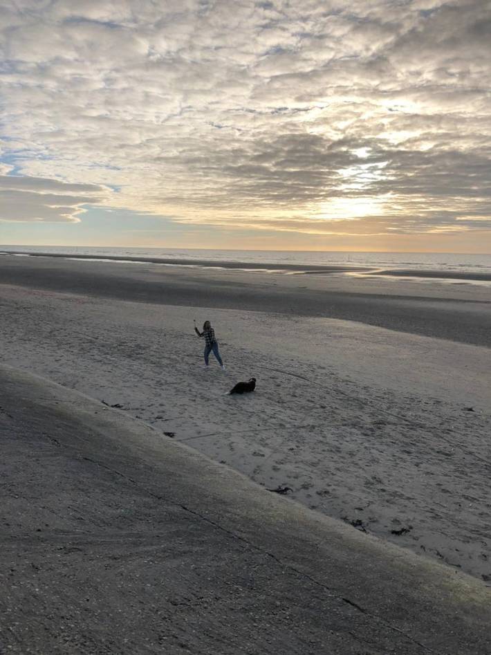 Ferienhaus für 20 Personen, mit Ausblick und Garten in De Panne - 2