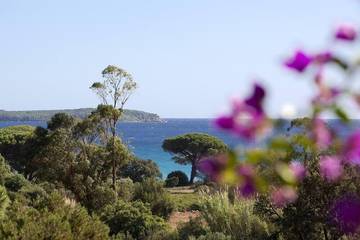 Gîte pour 8 personnes, avec balcon et jardin dans Plage de Tamaricciu