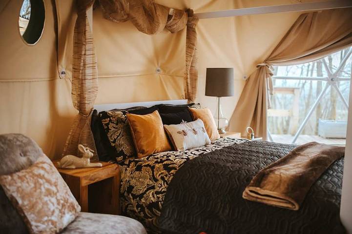 The Tree Dome - Retiro lujoso de Glamping in Colinas de Shropshire