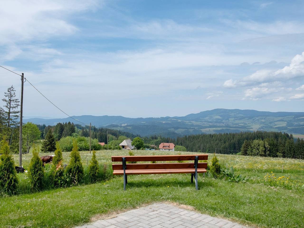 Ganze Ferienwohnung, Bäuerleshütte in Suedlicher Schwarzwald, Breitnau