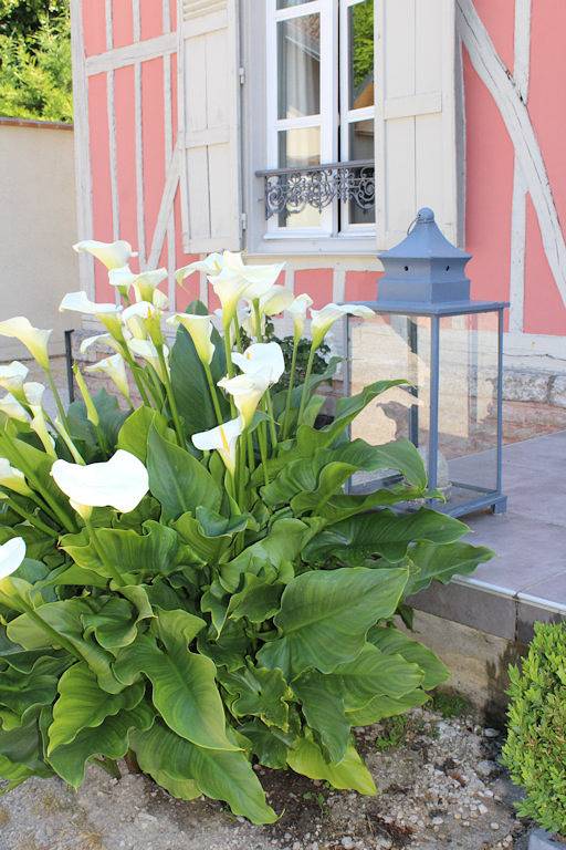 Chambre d’hôte pour 2 personnes, avec piscine et jardin dans Grand Est - 2