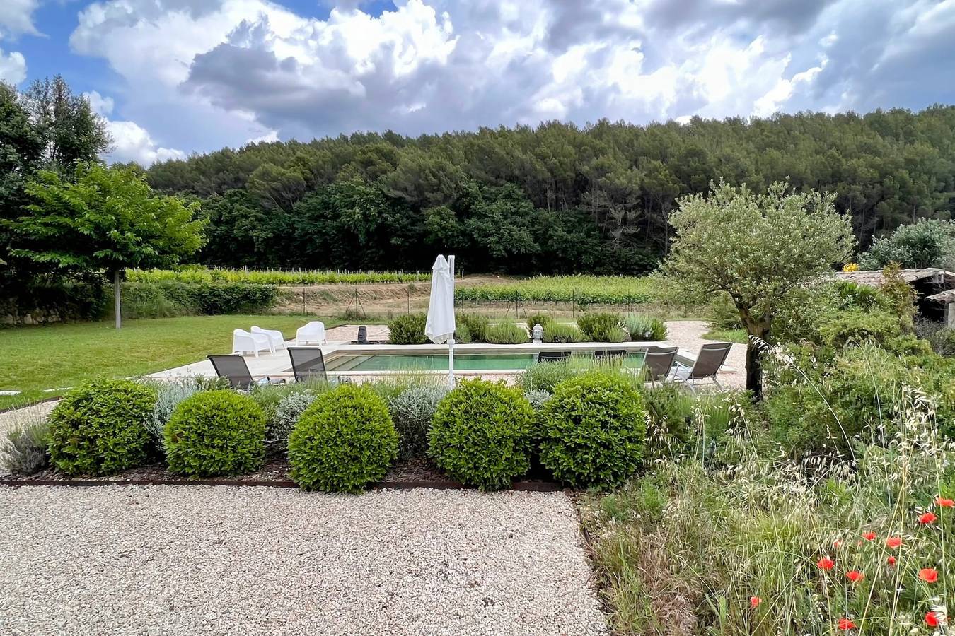 Maison des Vignes: Swimming pool and charm in Lauris in Lauris, Parque natural regional del Luberon