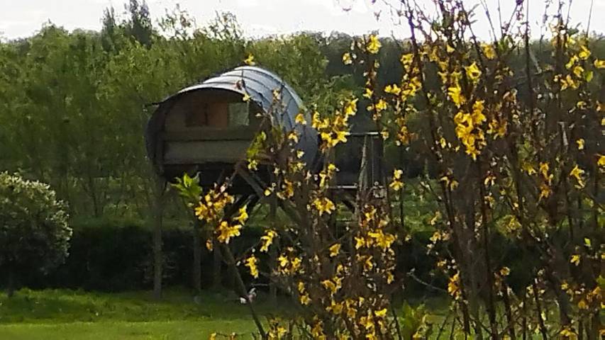 Cottage pour 2 personnes, avec terrasse et piscine ainsi que jardin et vue à Camoël