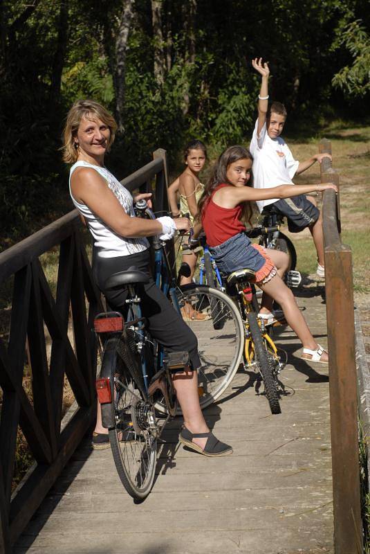 Gîte pour 4 personnes, avec jardin et piscine à Orist - 3