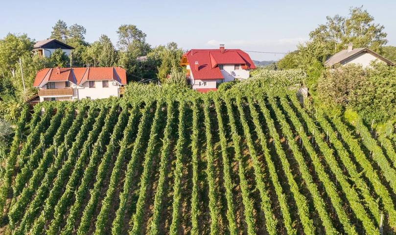 Ferienwohnung für 5 Personen, mit Ausblick und Garten - 1