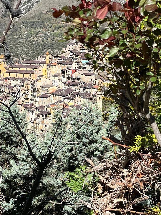 Gîte pour 6 personnes, avec vue et balcon, adapté aux familles à Saorge - 3