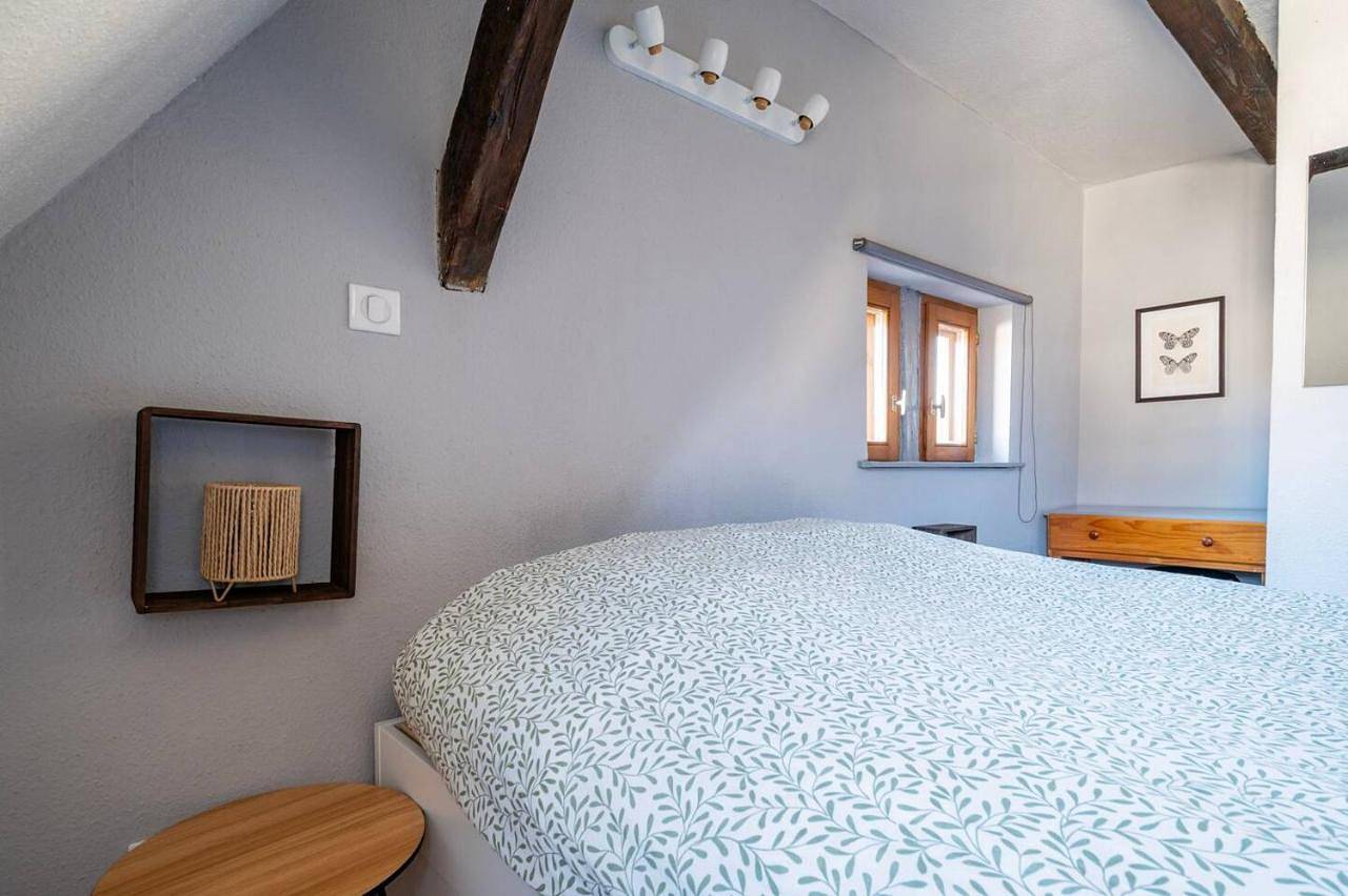 Appartement de vacances entier, Le Nid Alsacien - Centre Ville - Proche Parking Gratuit - Europa-park in Erstein, Région de Sélestat-Erstein