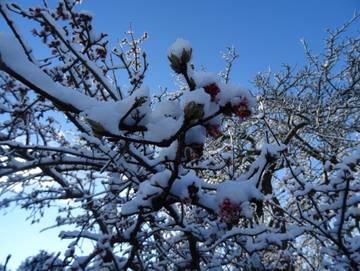 Ferienwohnung für 2 Personen in Ahrenshoop, Darß, Bild 3