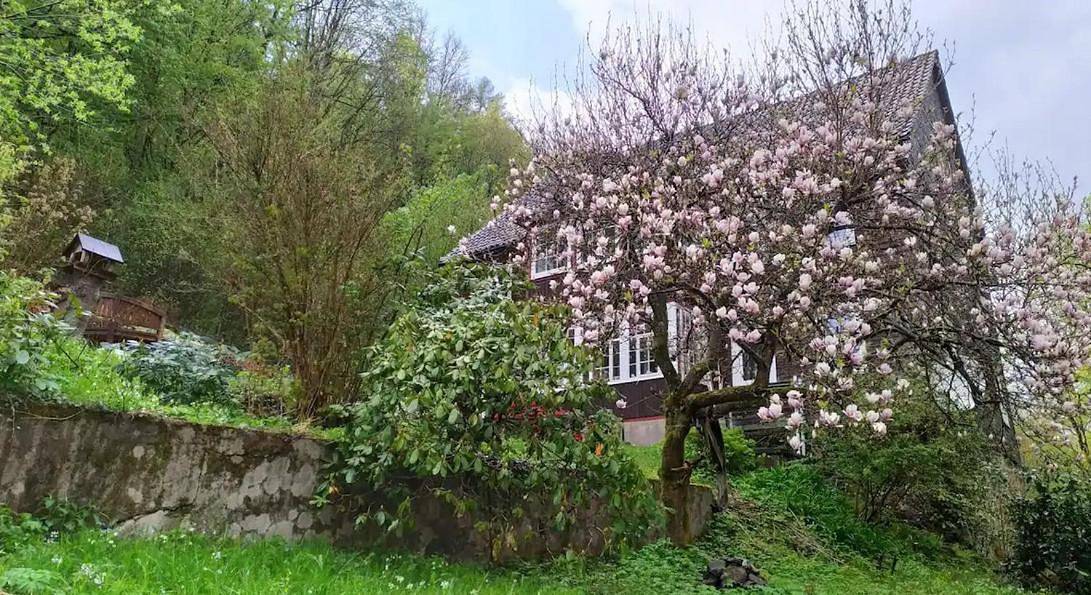 Haus am Wald Zorge 16+ Gäste in Zorge, Harzvorland