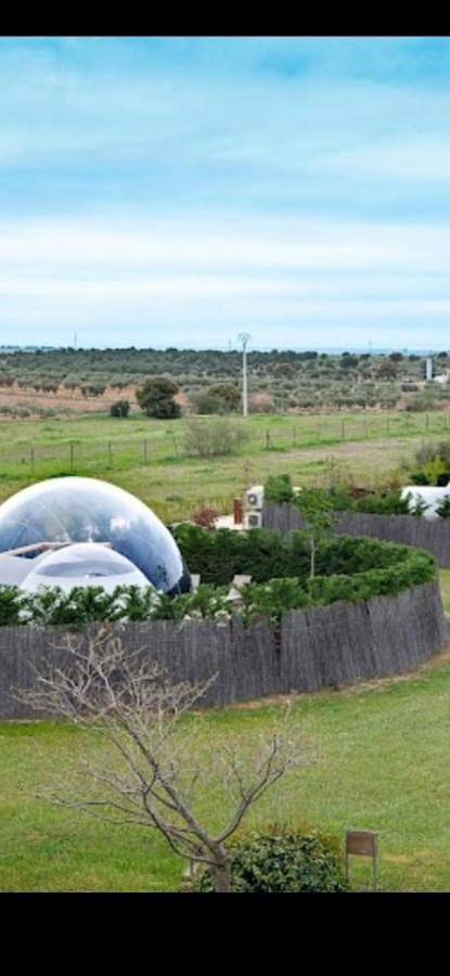 Gîte pour 4 personnes, avec jardin ainsi que piscine et vue, animaux acceptés à Barro - 3