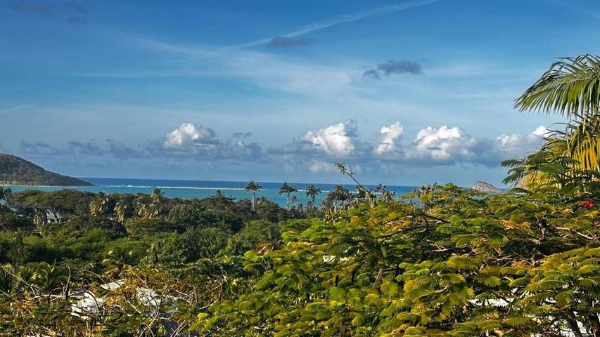 Chambre d’hôte pour 2 personnes, avec piscine et jardin ainsi que terrasse et vue en Guadeloupe - 3