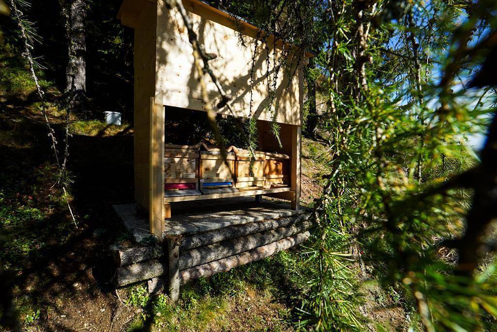 Ganze Ferienwohnung, Schuistlhof in Sillian, Osttirol
