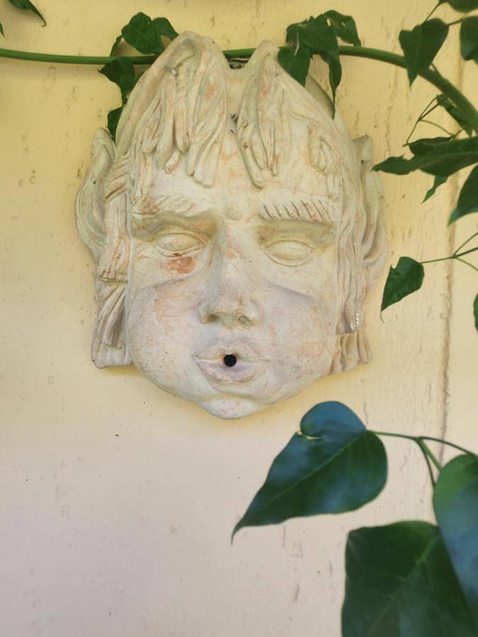 Location de vacances pour 5 personnes, avec vue sur le lac et jardin, animaux acceptés à Monte Isola - 3