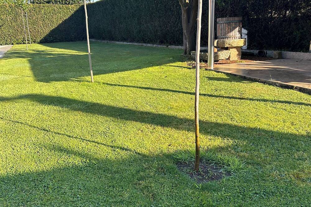 Casa con Jardin en el Salnes in Meaño, Rías Baixas