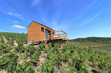 Gîte pour 2 personnes, avec jardin et vue à Fleurie