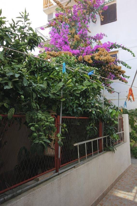 Ferienwohnung für 4 Personen auf Vis