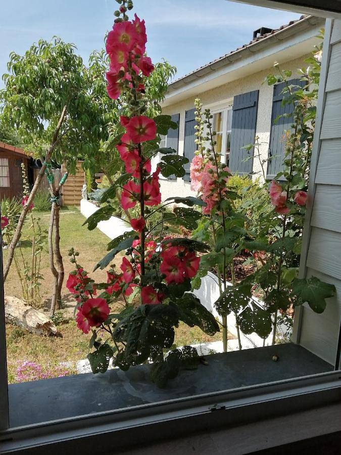 Maison d’hôte pour 6 personnes, avec jardin dans Saint-Georges-Haute-Ville