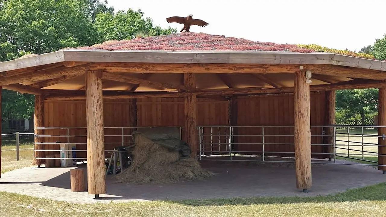 Ferienhaus für 5 Personen (55 m²) in Wooster Teerofen in Wooster-Teerofen, Neu Poserin