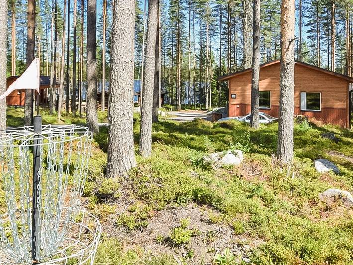Lepovalkeinen in Saarijärvi, Mittelfinnland
