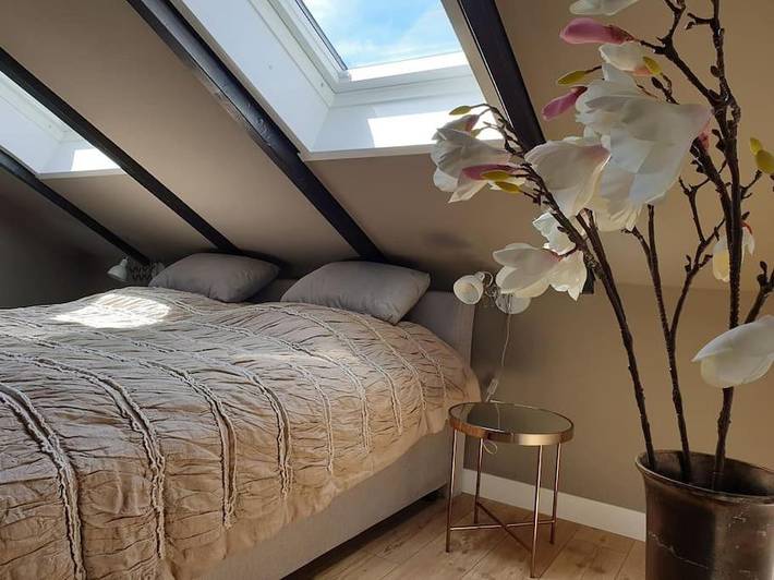 Ferienhaus für 16 Personen, mit Sauna und Garten in Clausthal-Zellerfeld - 4