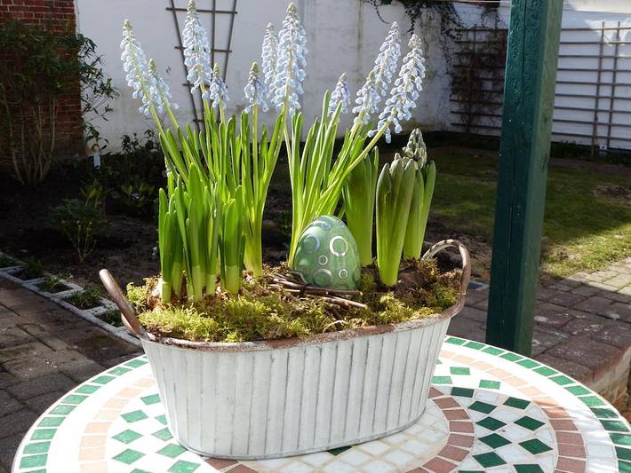 Ferienhaus für 6 Personen, mit Garten und Terrasse in Friedrichstadt - 2