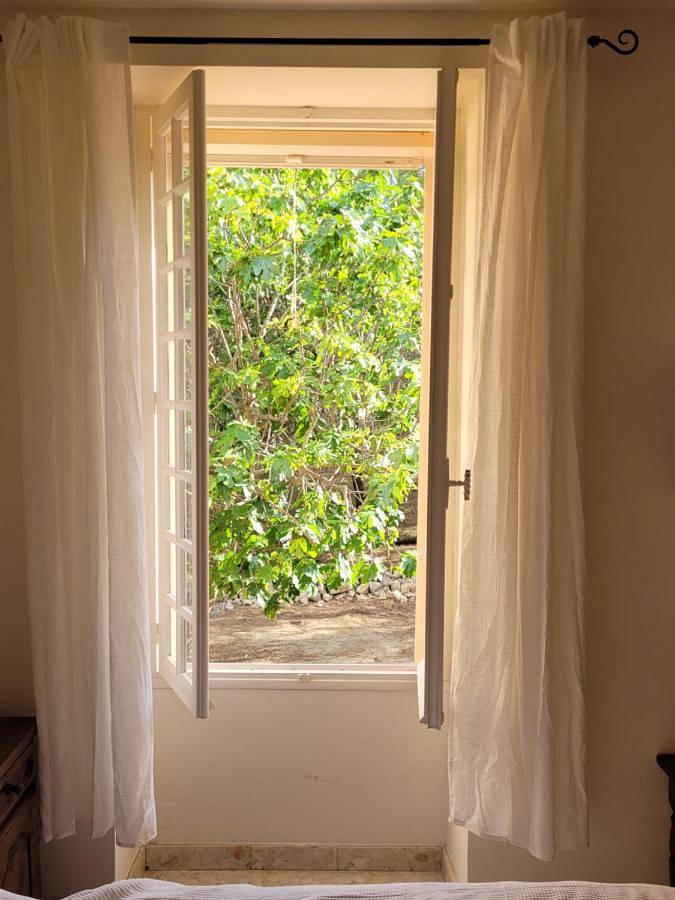 Location de vacances pour 8 personnes, avec vue ainsi que jardin et piscine à Aigne - 4