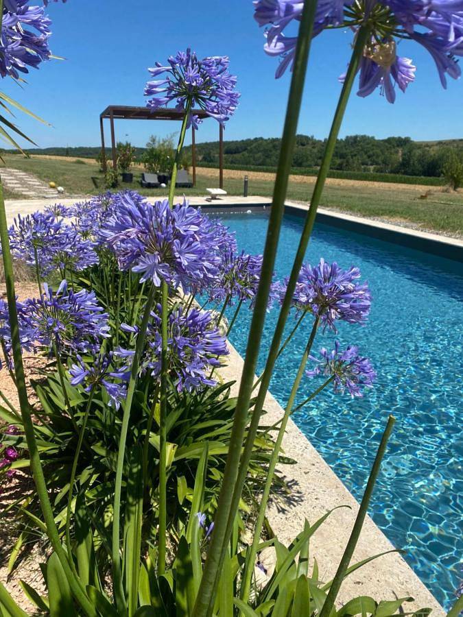 Chalet para 8 personas, con vistas además de piscina y jardín en Gers