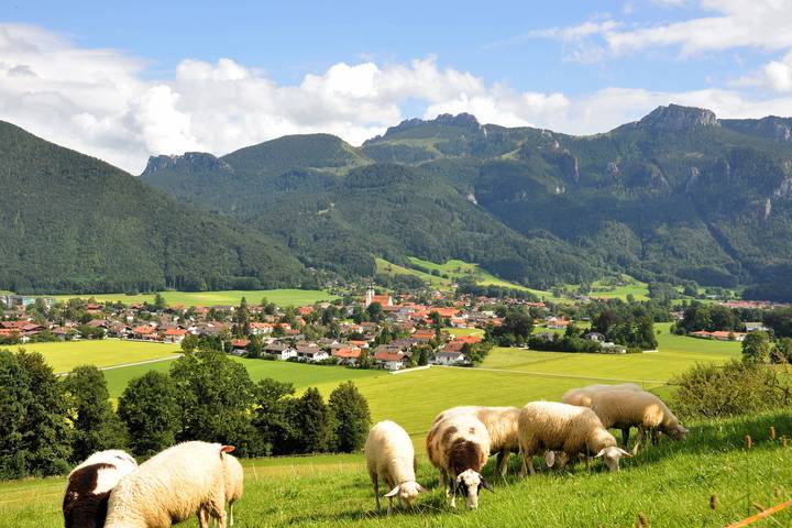 Ganze Ferienwohnung, Ferienwohnung Schuster am Fellerer - Ferienwohnung 47 qm mit zwei Schlafzimmern und Südbalkon in Aschau im Chiemgau, Chiemsee