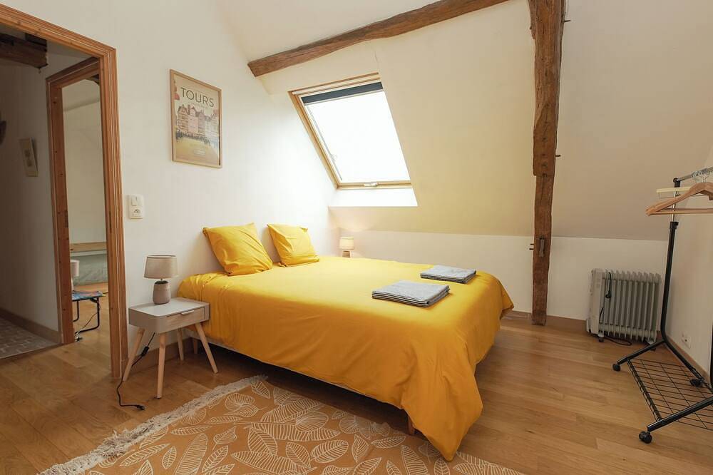 Gites for large families or groups of friends in Langeais, Valle del Loira
