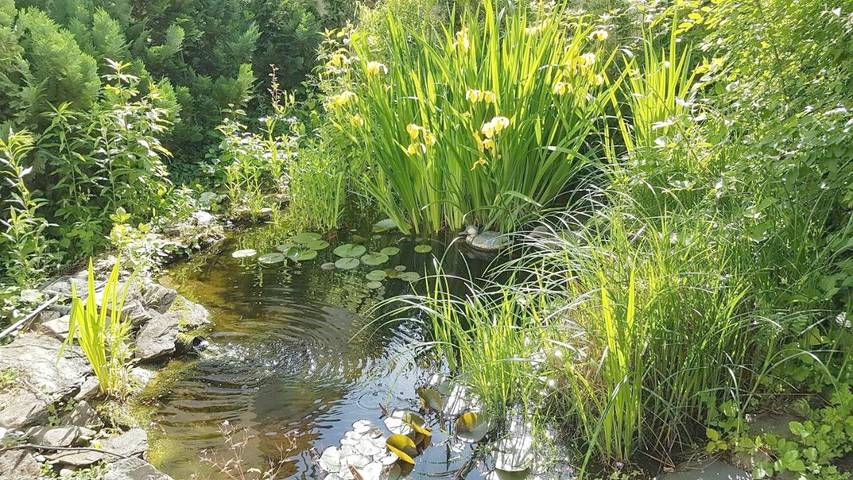 Vakantiewoning voor 6 personen, met balkon en uitzicht in Boppard