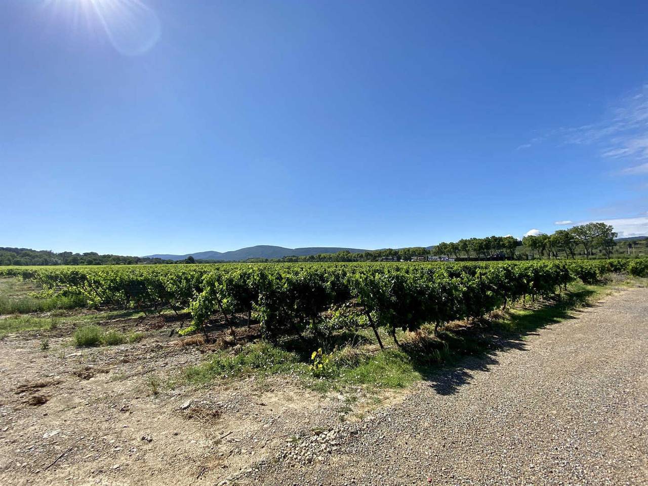 Domaine de la Roque in Trèbes, Carcassonne und Umgebung