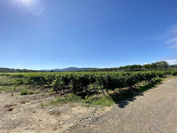 Domaine de la Roque in Trèbes, Région de Carcassonne