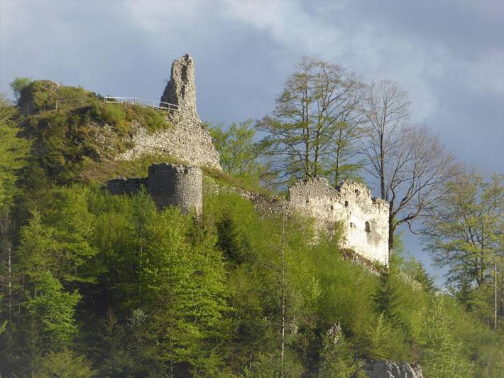 Pension Grasl - Familienzimmer (80qm) mit Wlan in Hohenberg (Niederösterreich), Mostviertel
