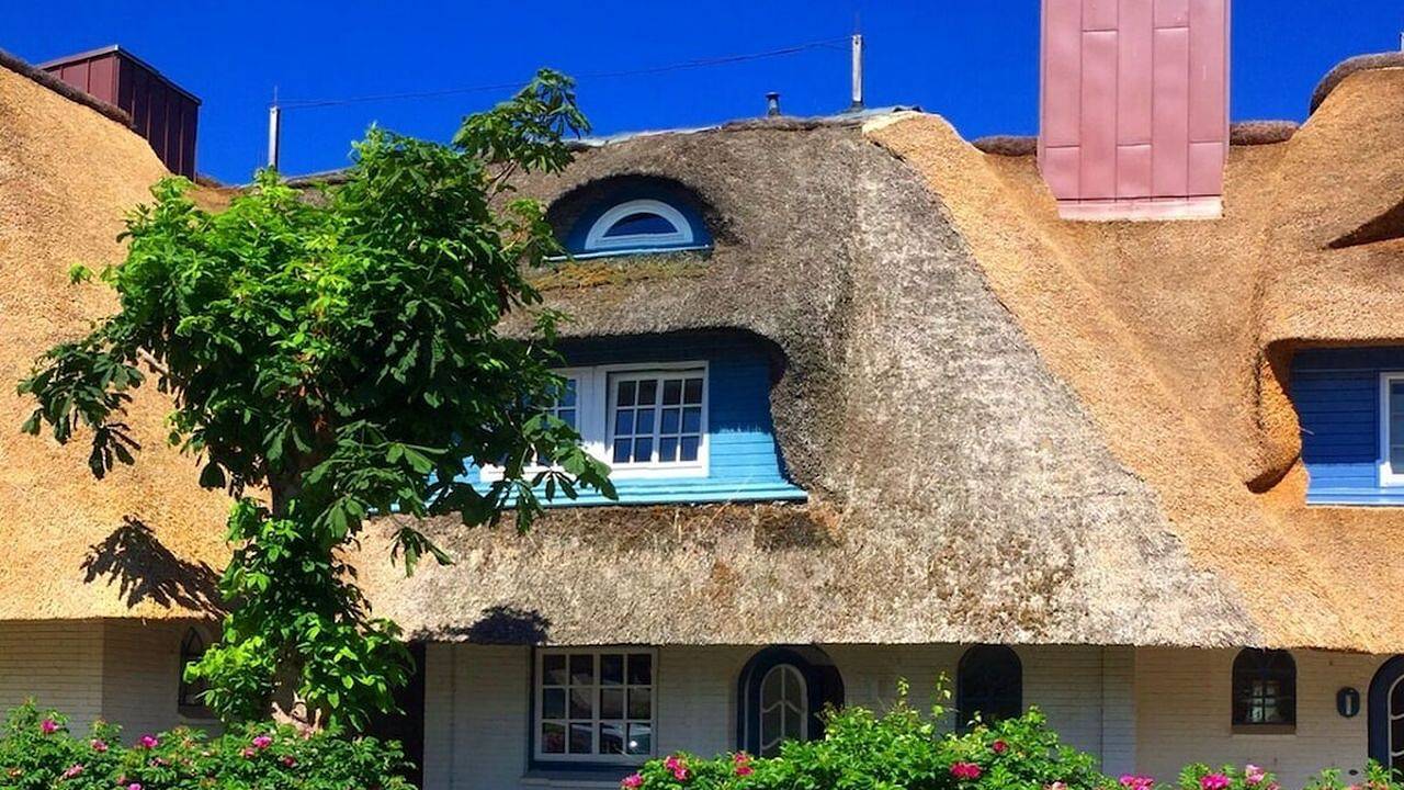 Ferienhaus für 5 Personen (87 m²) in Nieblum in Nieblum, Föhr