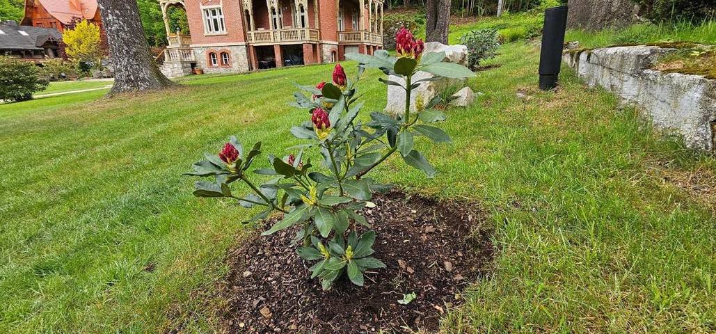 Villa für 2 Personen, mit Garten und Ausblick in Niederschlesien - 2