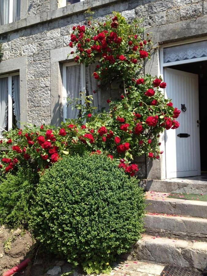 Vakantiewoning voor 2 personen, met tuin en uitzicht in Durbuy