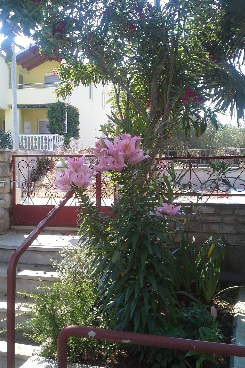 Appartement entier, Jezera ausblick in Tisno, Murter
