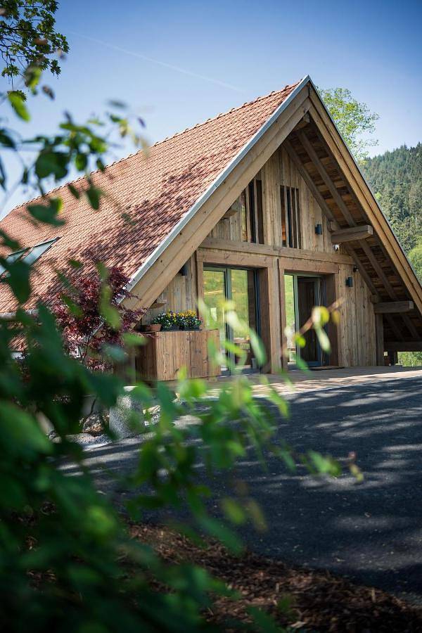 Gîte pour 6 personnes, avec jardin et jacuzzi à Metzeral - 3