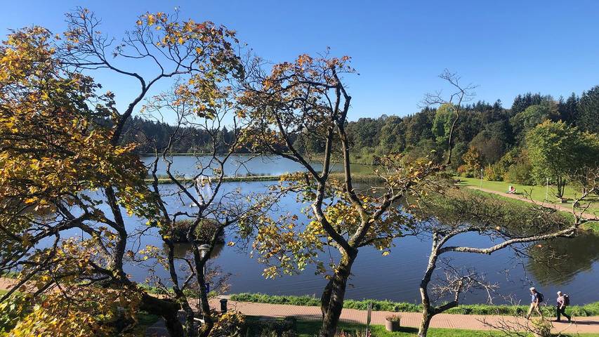 Ferienwohnung für 2 Personen, mit Balkon in Goslar - 2