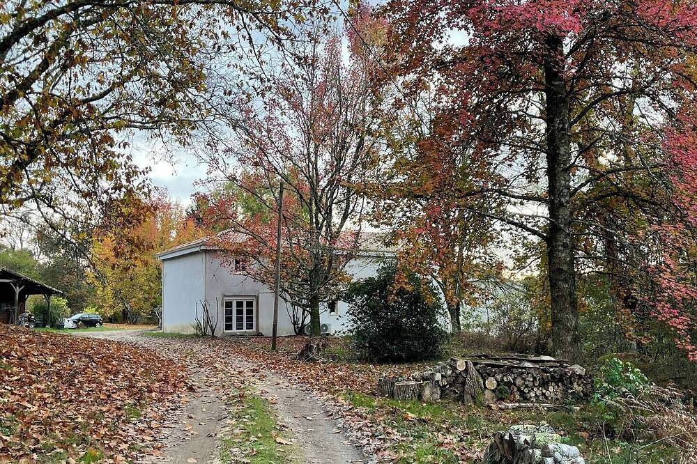 Domaine du Martinet : Charming renovated house in the heart of nature in Salles, Region de Arcachon